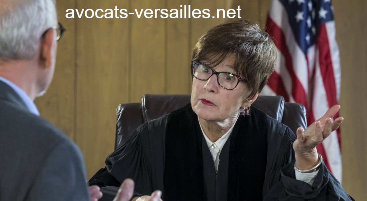avocats-versailles.net